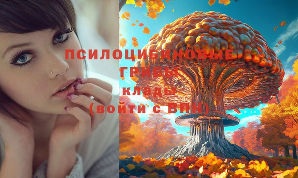 мдпв Гусь-Хрустальный