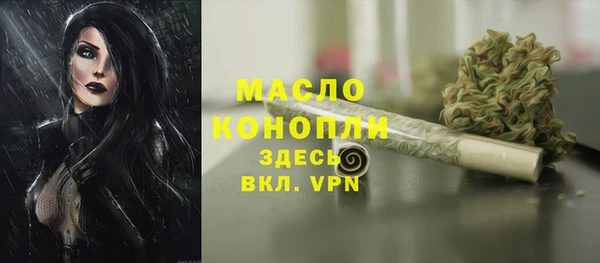 мдпв Гусь-Хрустальный
