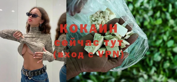 мдпв Гусь-Хрустальный