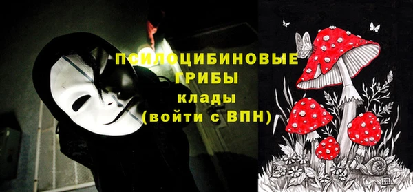 марки nbome Гусев