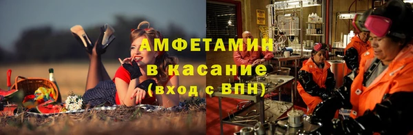 мдпв Гусь-Хрустальный